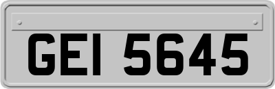 GEI5645
