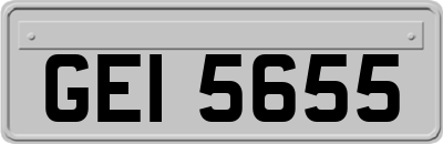 GEI5655