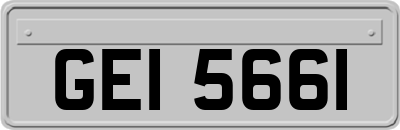 GEI5661