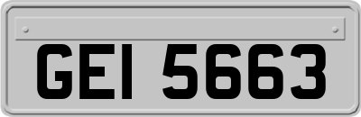 GEI5663