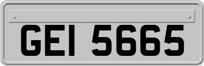 GEI5665