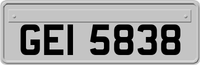 GEI5838