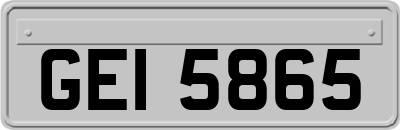 GEI5865