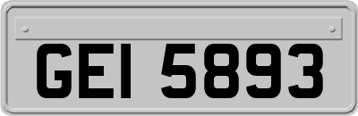 GEI5893