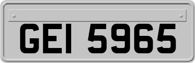 GEI5965