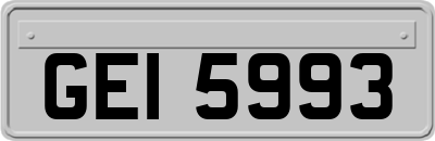 GEI5993
