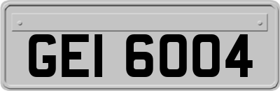 GEI6004