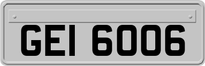 GEI6006