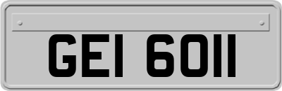 GEI6011