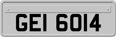 GEI6014