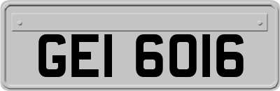 GEI6016