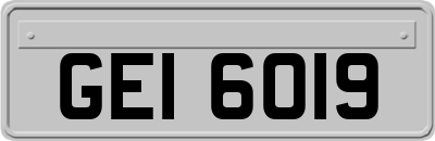 GEI6019