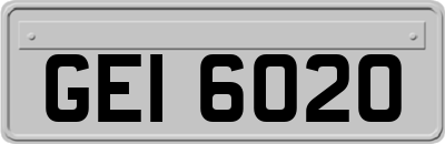 GEI6020