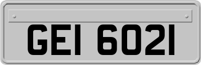 GEI6021