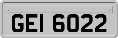 GEI6022