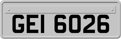 GEI6026