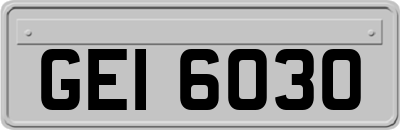 GEI6030