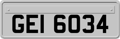 GEI6034