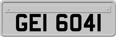 GEI6041