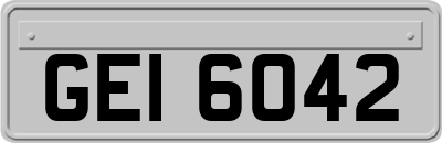 GEI6042