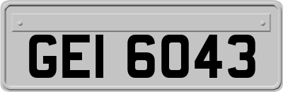 GEI6043