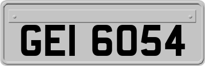 GEI6054