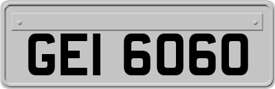 GEI6060