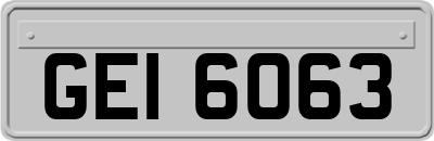 GEI6063