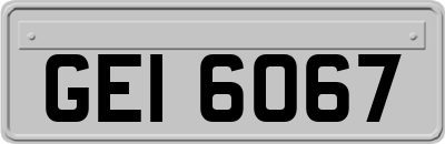 GEI6067