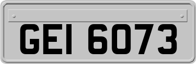 GEI6073