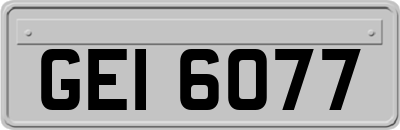 GEI6077
