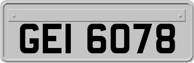 GEI6078