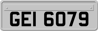 GEI6079