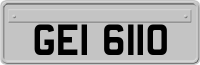 GEI6110