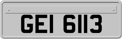 GEI6113