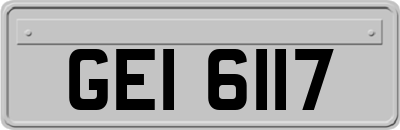 GEI6117
