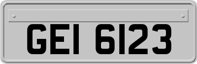 GEI6123