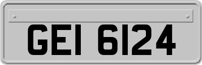 GEI6124