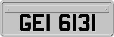 GEI6131