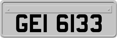 GEI6133