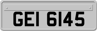 GEI6145