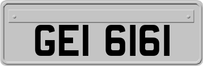 GEI6161