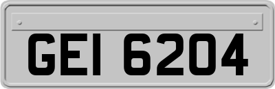 GEI6204