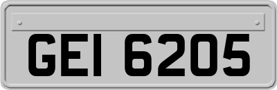 GEI6205