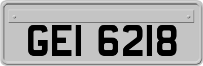 GEI6218