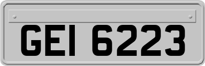 GEI6223