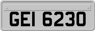 GEI6230
