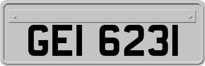 GEI6231