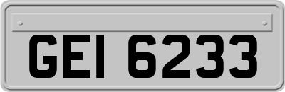 GEI6233