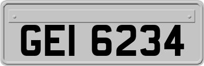 GEI6234